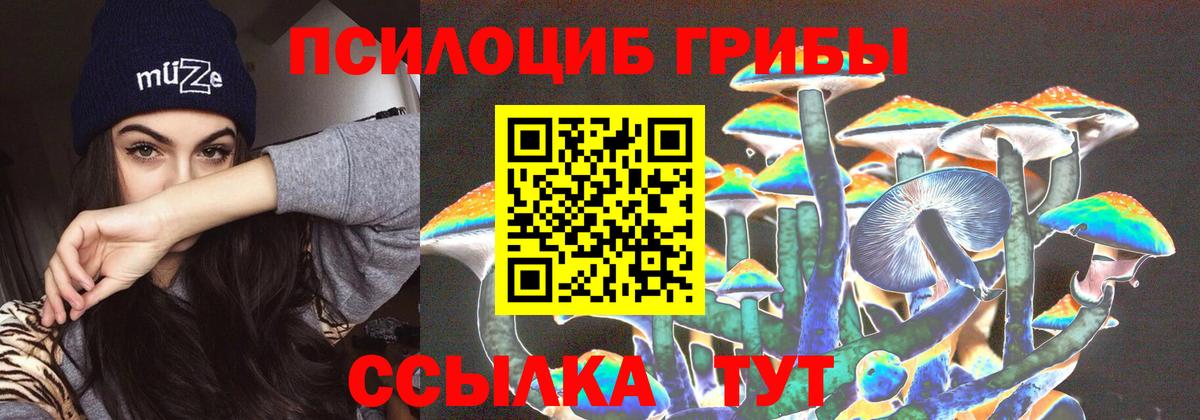 Галлюциногенные грибы Magic Shrooms Нижневартовск